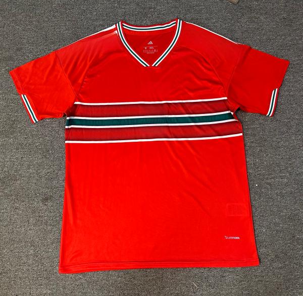 Wales 2026 World Cup Home Soccer Jersey Quick Dry Custom Name Number Football Uniform - 图片 2