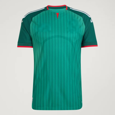 Algeria National Team Soccer Jersey Men Short Sleeve Football Shirt - 图片 2