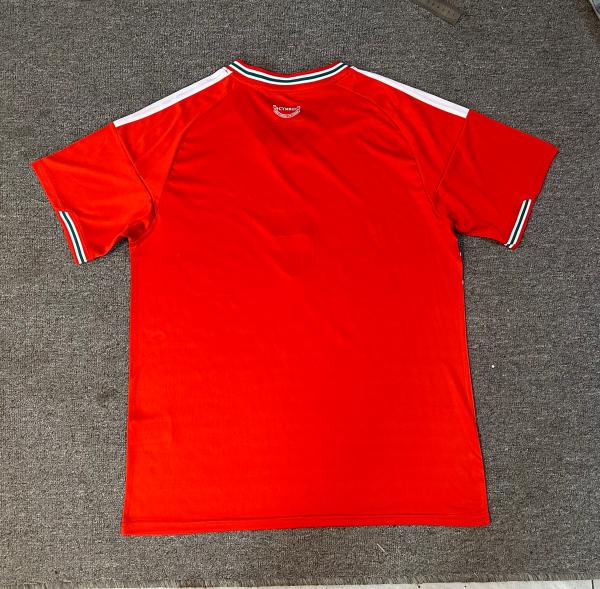 Wales 2026 World Cup Home Soccer Jersey Quick Dry Custom Name Number Football Uniform - 图片 3