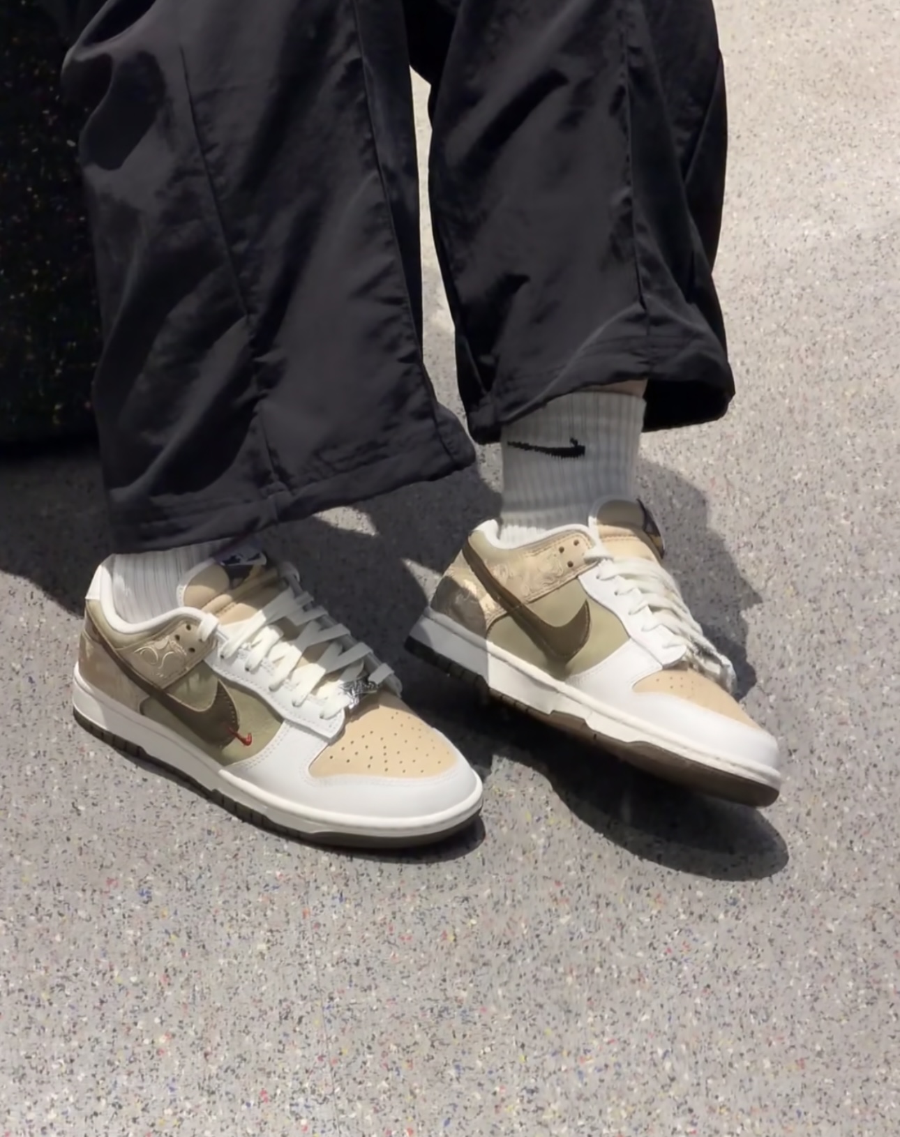 High-Quality Version Nike Dunk Pegasus Pack - 图片 3